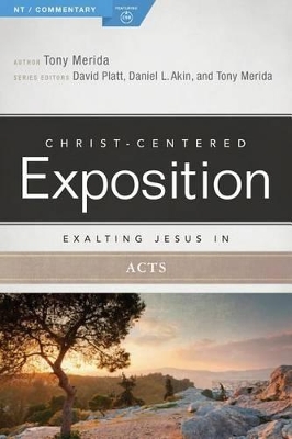 Book cover for Exalting Jesus in Acts