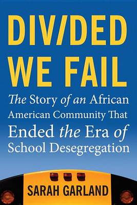 Book cover for Divided We Fail