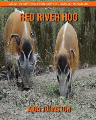 Book cover for Red River Hog