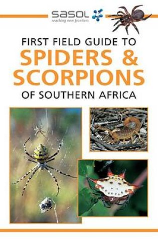 Cover of First Field Guide to Spiders & Scorpions of Southern Africa