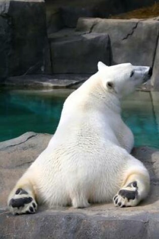 Cover of Sunbathing Polar Bear Journal
