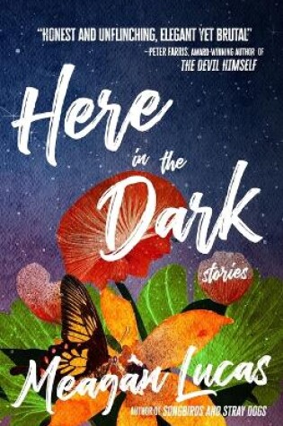 Cover of Here in the Dark