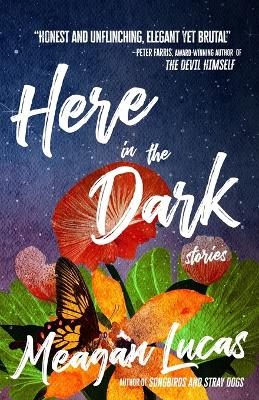 Book cover for Here in the Dark