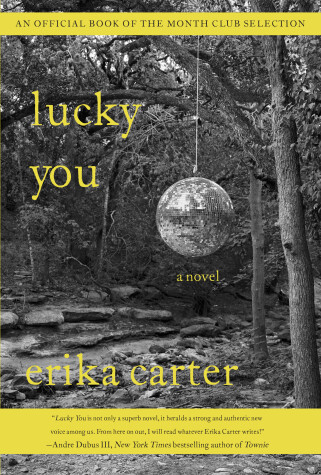 Book cover for Lucky You