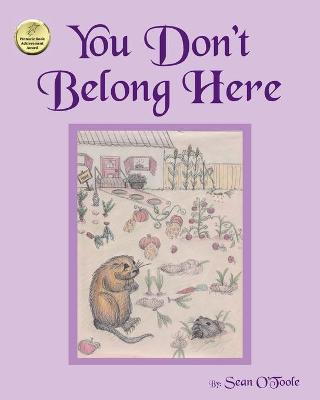 Book cover for You Don't Belong Here