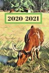 Book cover for Autumn Texas Longhorn Cattle Steer Cow Gift 25 Month Weekly Planner Dated Calendar for Women & Men