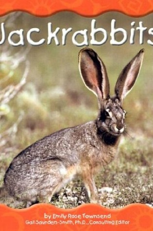 Cover of Jackrabbits