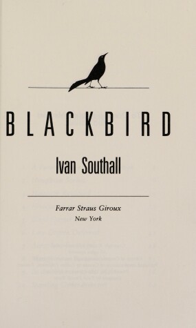 Book cover for Blackbird