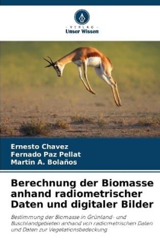 Cover of Berechnung der Biomasse anhand radiometrischer Daten und digitaler Bilder