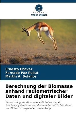 Book cover for Berechnung der Biomasse anhand radiometrischer Daten und digitaler Bilder