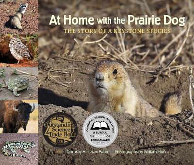 Book cover for At Home with the Prairie Dog