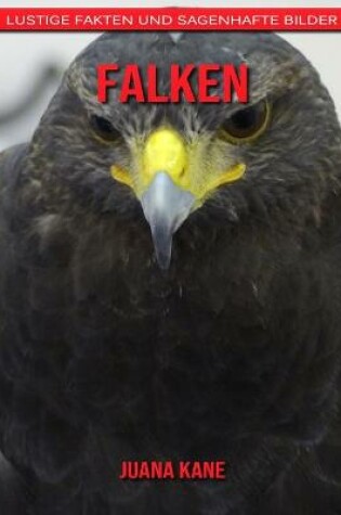 Cover of Falken