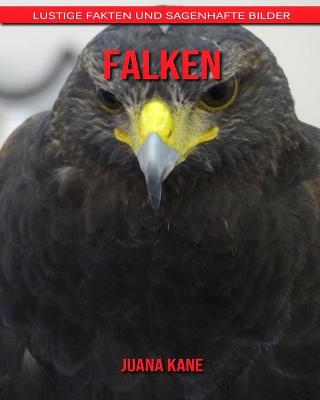 Book cover for Falken