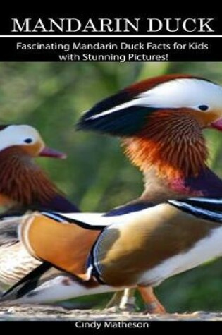 Cover of Mandarin Duck