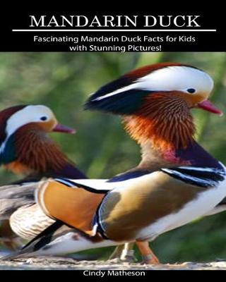 Book cover for Mandarin Duck