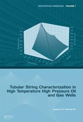 Book cover for Tubular String Characterization in High Temperature High Pressure Oil and Gas Wells