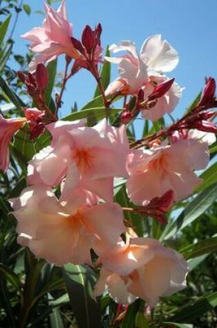 Cover of Pink Oleander Blooming, for the Love of Nature