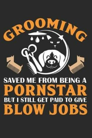 Cover of Grooming save me from being a porn-star but i still get paid to give blow jobs