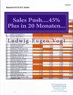 Book cover for Sales Push....45% Plus in 20 Monaten...