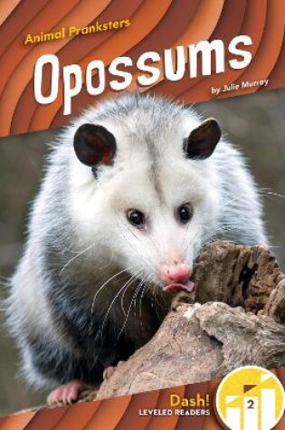 Cover of Animal Pranksters: Oppossums