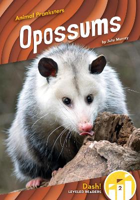 Book cover for Animal Pranksters: Oppossums