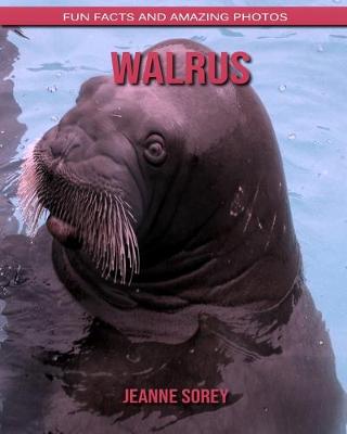 Book cover for Walrus