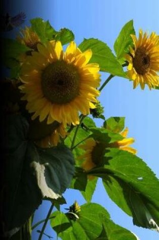 Cover of Sunflowers