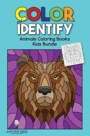 Cover of Color and Identify