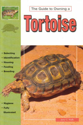 Book cover for Tortoises