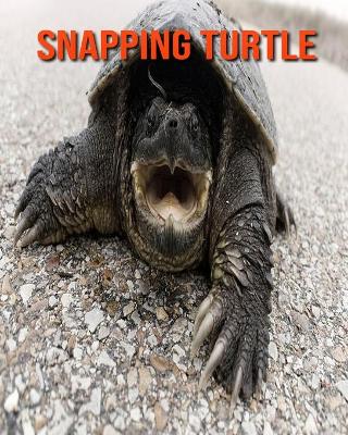 Book cover for Snapping Turtle