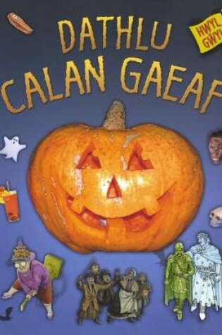 Cover of Hwyl Gŵyl: Dathlu Calan Gaeaf