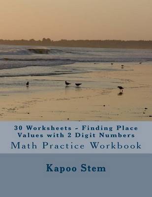 Book cover for 30 Worksheets - Finding Place Values with 2 Digit Numbers