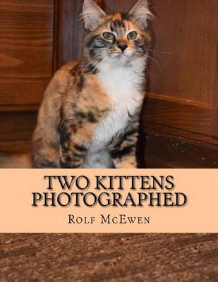 Book cover for Two Kittens Photographed