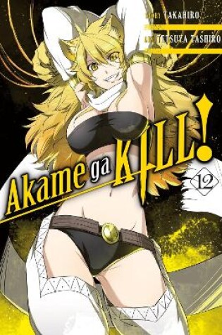 Cover of Akame ga KILL!, Vol. 12