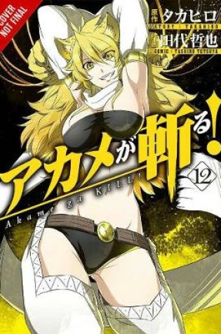 Cover of Akame ga KILL!, Vol. 12