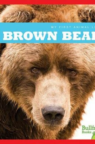 Cover of Brown Bears