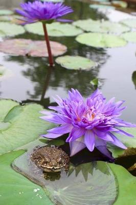 Book cover for Purple Water Lily with a Toad Journal