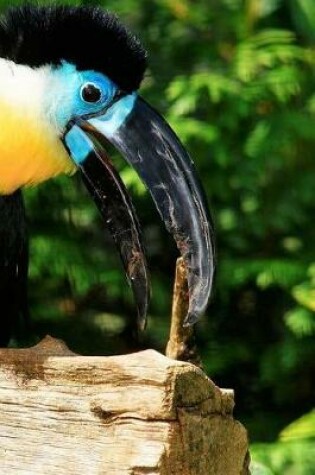 Cover of Colourful Tropical Parrot Notebook