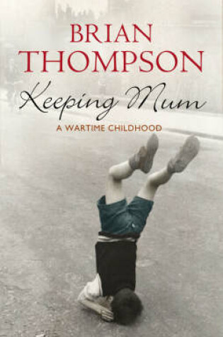 Cover of Keeping Mum