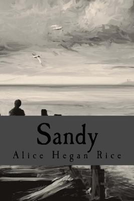 Book cover for Sandy