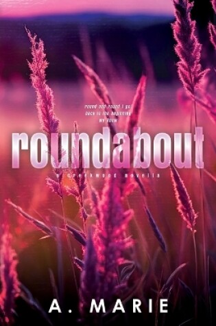 Cover of Roundabout Discreet Cover