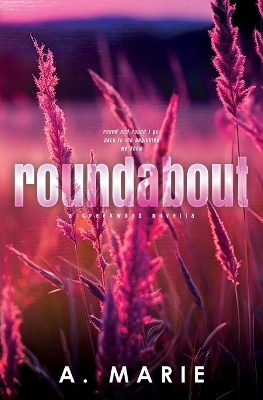 Book cover for Roundabout Discreet Cover