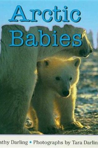 Cover of Arctic Babies