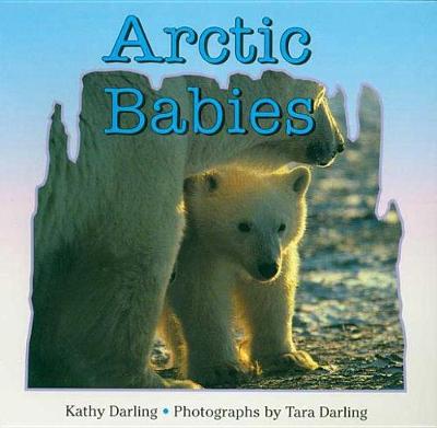 Book cover for Arctic Babies