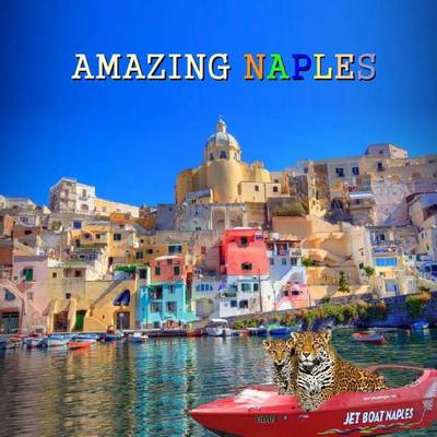 Book cover for Amazing Naples