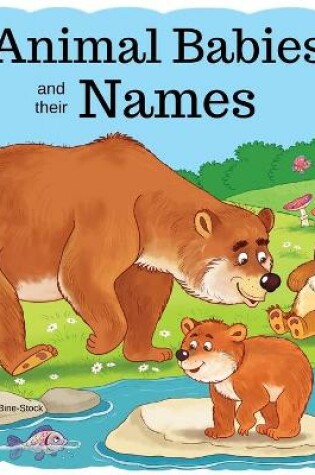 Cover of Animal Babies and their Names