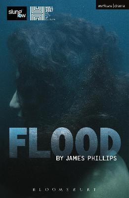 Book cover for Flood