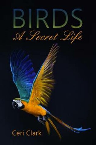 Cover of Birds A Secret Life