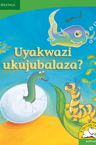 Cover of Uyakwazi ukujubalaza? (IsiXhosa)