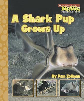 Book cover for A Shark Pup Grows Up